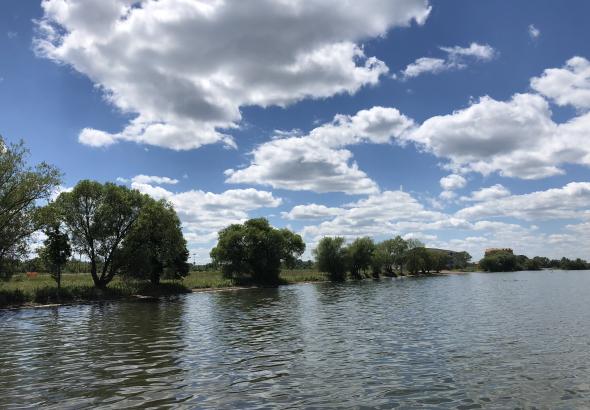 South shore of Lake Bemidji restoration