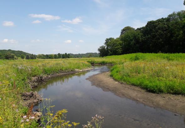 Cascade Creek