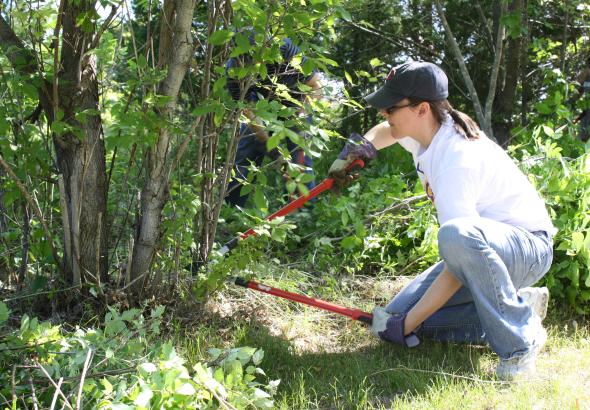 woman trimming a tree