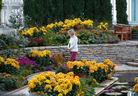 photo of women looking at flowers